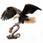 AGUILAS VETERANOS